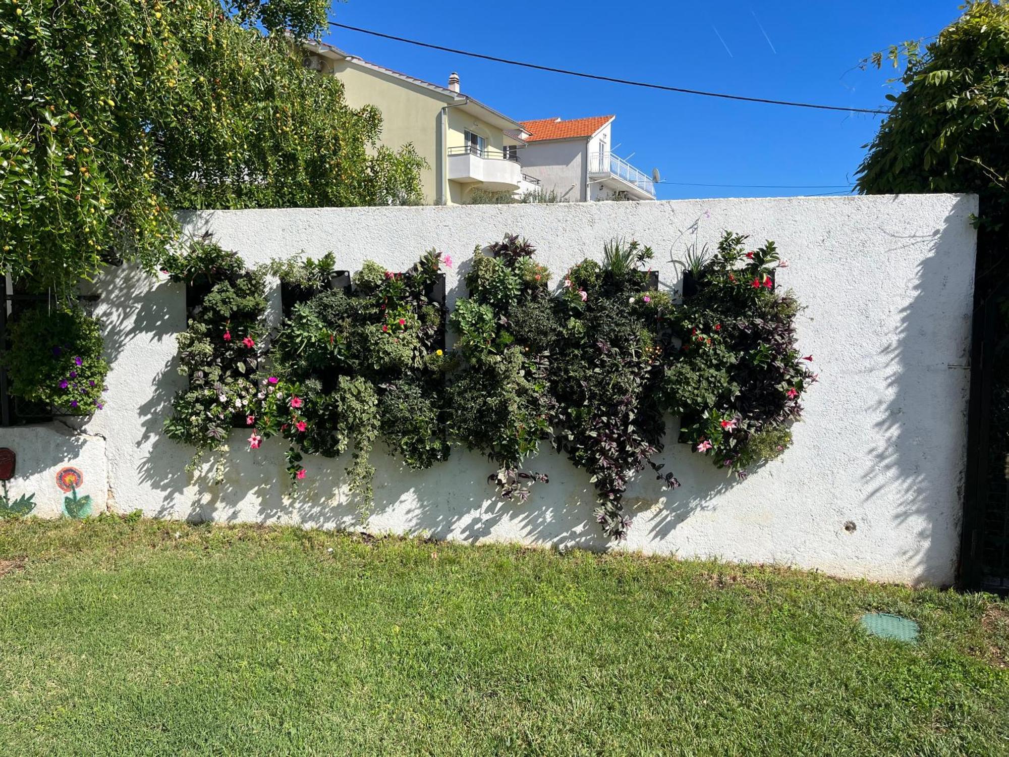Perla Alba Apartments Tribalj 外观 照片